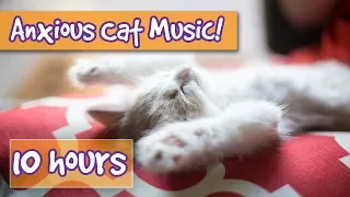 How to Make Your Cat Calm! The Ultimate Music Playlist to Soothe and Relax Anxious or Upset Cats! 🐈