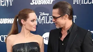 Brad Pitt & Angelina Jolie Release New Wine Together As They Continue Hashing Out Custody Agreement