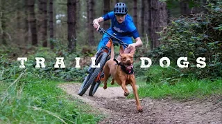 Trail Dogs