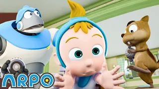 Sincap Çılgınlığı 🐿️ | Robot ARPO 🤖 | Çocuk Çizgi Filmleri