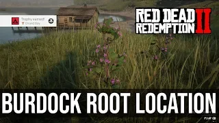 Kieran's Burdock Root Location (Errand Boy Trophy) - Red Dead Redemption 2