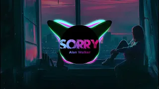 Alan Walker & Isak - Sorry (remix)