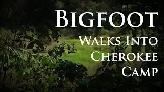 Bigfoot Walks Into 1850's Cherokee Camp