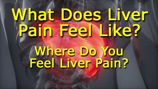 What Does Liver Pain Feel Like? Where Do You Feel Liver Pain?