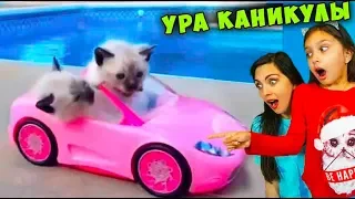 ЛУЧШИЙ НЕ ЗАСМЕЙСЯ Челлендж с КОТАМИ #5 ТАЙНАЯ ЖИЗНЬ ДОМАШНИХ ЖИВОТНЫХ Смешные КОТИКИ Питомцев