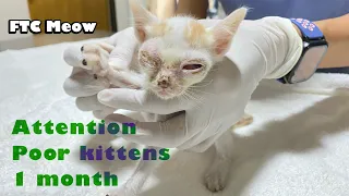 1-month-old kitten is really unfortunate to have a sore eye and no mother | FTC Meow
