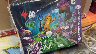 Wilds Of Eldraine Collector booster box opening!! #mtg