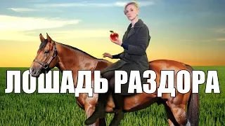 КОМУ ДОСТАЛАСЬ ЛОШАДЬ РАЗДОРА  16+