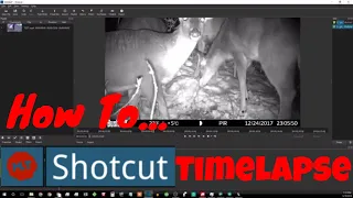 How to make timelapse video with images using shotcut