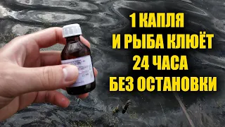 1 капля заставляет всю рыбу клевать. 95% рыбаков не знают этого