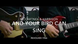 And Your Bird Can Sing  - McCartney & Harrison duo (Guitar Lesson)