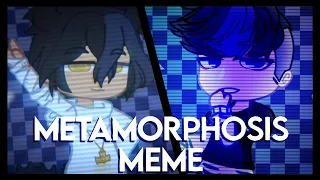 Metamorphosis Meme// Gacha Club // Gaxycat & _dino