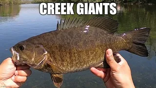 Epic Smallmouth Bass Fishing In A Crystal-Clear Creek!