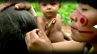 Жизнь неконтактных племён Амазонки (The life of the non-contact tribes of the Amazon)