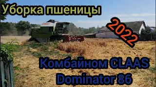 Збирання пшениці комбайном CLAAS Dominator 86