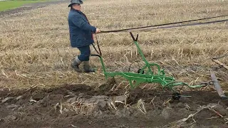 Po raz 10. miłośnicy koni spotkali się w Putkowicach Nadolnych nad Bugiem