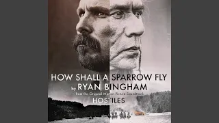 How Shall a Sparrow Fly