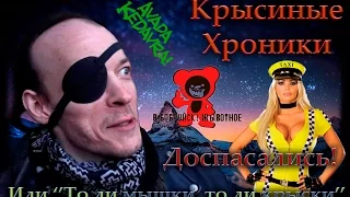 Грызуны | Доспасались! Или то ли мышки, то ли крыски. ^_^