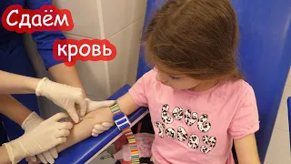 VLOG Сдаём кровь. У нас новый питомец