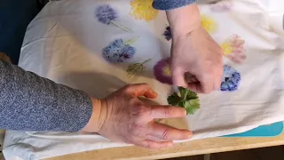 Печать живыми цветами  на ткани. Вбивание цветов в ткань. ECO print by flowers on fabric.