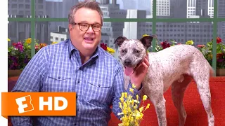 My Pet Stories with Patton Oswalt and Eric Stonestreet | The Secret Life of Pets 2 Interview