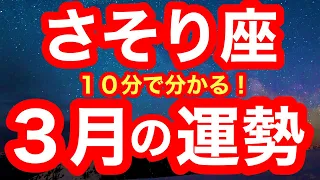 3月の運勢🧚さそり座　この流れ、いいんですか？最強の未来へつながる土台作りの時！気持ちいいスタートが切れます！！！(仕事・お金・人間関係)