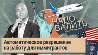 Значение Country Conditions для убежища, сроки интервью, самые важные документы для иммигрантов