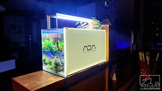 UNBOXING / SETUP | ADA Light Screen 60