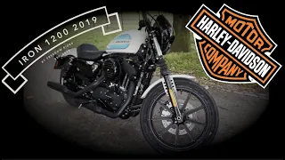 Harley Davidson iron 1200 first ride