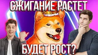 ⚠️ВАЖНО⚠️СТОИТ ОЖИДАТЬ РОСТА ОТ SHIB? | ШИБА ИНУ УМИРАЕТ?