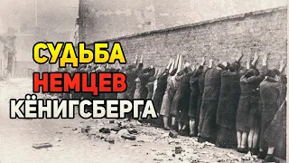 НЕЗАВИДНАЯ судьба немцев Кёнигсберга после 1945 года