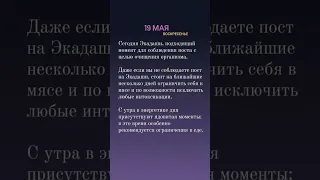 19 мая 2024 г.