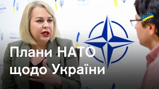 Вступ до НАТО та шантаж від Кремля: інтерв'ю про головне з послом при Альянсі