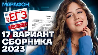 Разбор 17 варианта сборника Зинина | МАРАФОН ЕГЭ ПО ЛИТЕРАТУРЕ