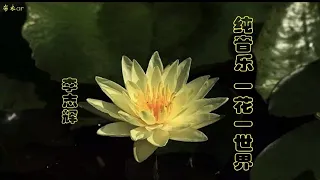 纯音乐《一花一世界》（Pure Music "One Flower, One World"），李志辉作品（Li Zhihui's works），视频制作：布衣ar。视频制作于2021年8月5号。
