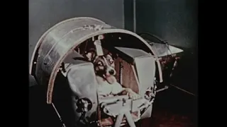 Colour footage of Laika, the soviet space dog, in Sputnik 2, November 3 1957 (HD)