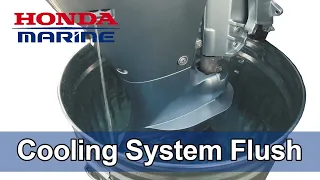 Honda Marine DIY Cooling System Flush Procedure