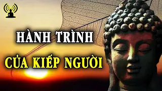 Truy Cầu Nhiều Khiến Thân Mệt Mỏi. Lòng Hạnh Phúc Thì Ngày Tháng Mới Thong Dong.