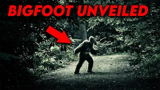 Top 5 Recently BigFoot Sightings