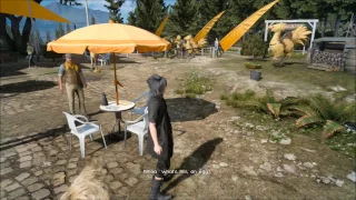 Final Fantasy 15 Give Black Chocobo Egg to Wiz Wait for Egg to Hatch