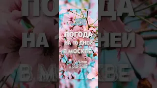 Погода на 10 дней в Москве