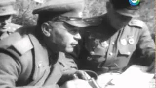 Освобождение 28 июля 1944: освобожден город Брест