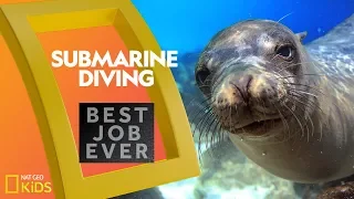 Submarine Diving in the Galápagos | Best Job Ever | Nat Geo Kids