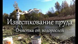 Известкование пруда. Очистка пруда от водорослей и ряски