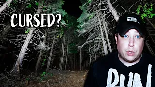 CURSED ALONE Inside THE DEVIL'S FOREST | Egely Wheel and GHOSTTUBE SEER