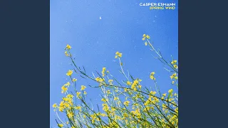 Spring Wind (Clannad)