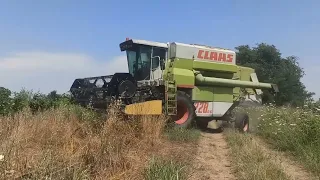 CLAAS Commandor 228 CS-Αλωνια σιτηρων 2022