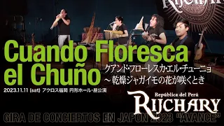 Cuando Floresca el Chuño 〜 乾燥ジャガイモの花が咲くとき │ RIJCHARY(リチャリー)