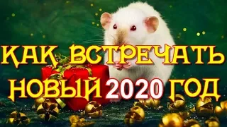 Как встретить Новый 2020 год, чтобы задобрить Белую Крысу