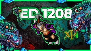 ED 1208 Hunt Solo Warzone 9 8.5kk/h (225%) 2.9kk Profit (Diremaw boost) - Tibia Hunt [13.17] #tibia